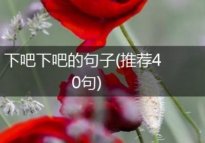 下吧下吧的句子(推荐40句)