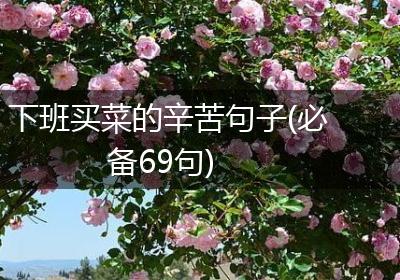 下班买菜的辛苦句子(必备69句)