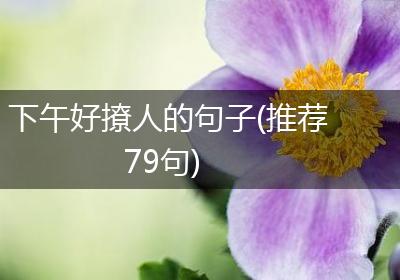 下午好撩人的句子(推荐79句)