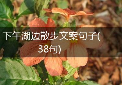下午湖边散步文案句子(38句)