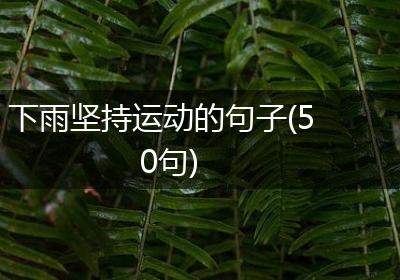 下雨坚持运动的句子(50句)