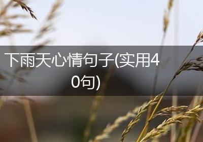 下雨天心情句子(实用40句)