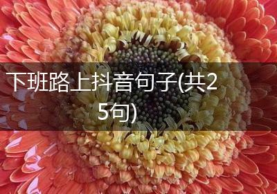 下班路上抖音句子(共25句)