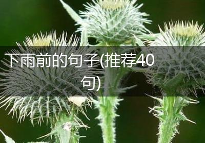 下雨前的句子(推荐40句)