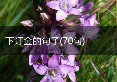 下订金的句子(70句)