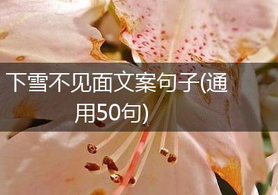 下雪不见面文案句子(通用50句)