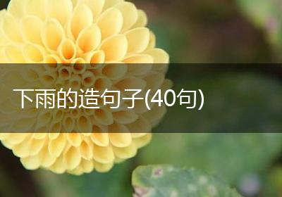 下雨的造句子(40句)