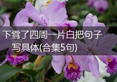下雪了四周一片白把句子写具体(合集5句)