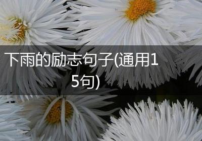 下雨的励志句子(通用15句)