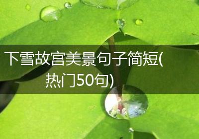 下雪故宫美景句子简短(热门50句)