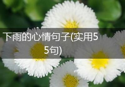 下雨的心情句子(实用55句)