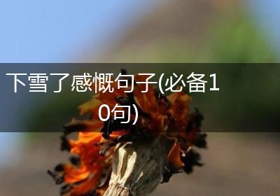 下雪了感慨句子(必备10句)