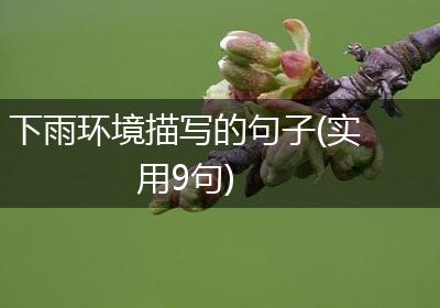 下雨环境描写的句子(实用9句)