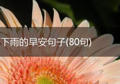 下雨的早安句子(80句)