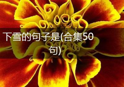 下雪的句子是(合集50句)