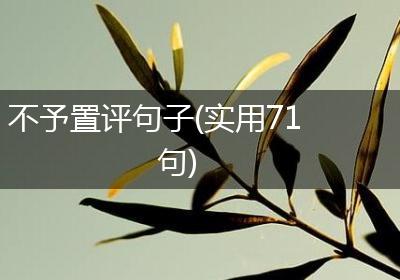 不予置评句子(实用71句)
