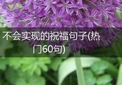 不会实现的祝福句子(热门60句)