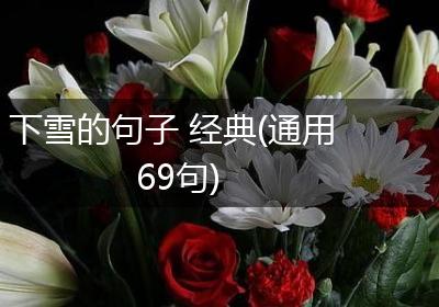 下雪的句子 经典(通用69句)