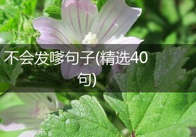 不会发嗲句子(精选40句)
