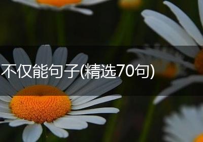 不仅能句子(精选70句)
