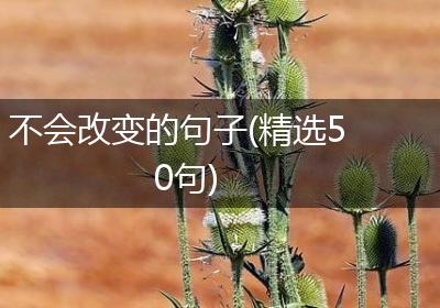 不会改变的句子(精选50句)