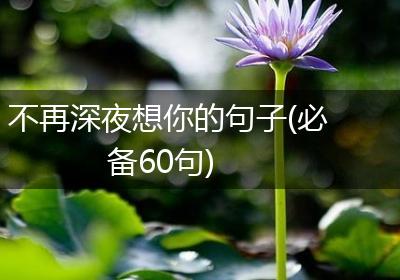不再深夜想你的句子(必备60句)