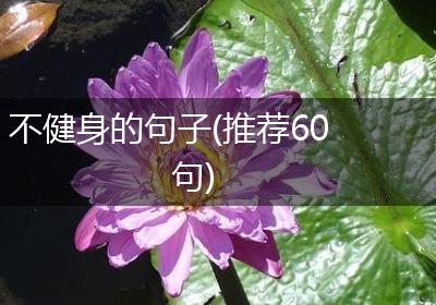 不健身的句子(推荐60句)