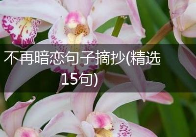 不再暗恋句子摘抄(精选15句)