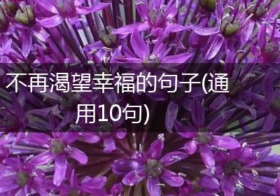 不再渴望幸福的句子(通用10句)