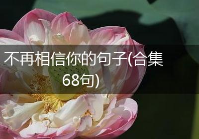 不再相信你的句子(合集68句)