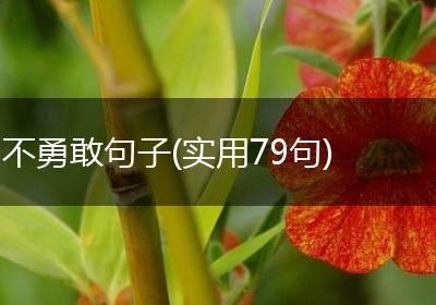 不勇敢句子(实用79句)