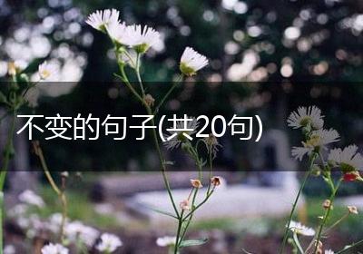 不变的句子(共20句)