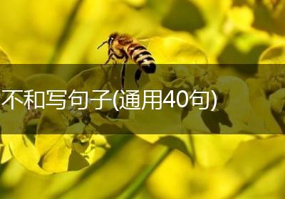 不和写句子(通用40句)