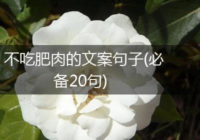 不吃肥肉的文案句子(必备20句)