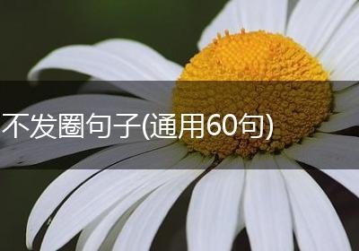 不发圈句子(通用60句)