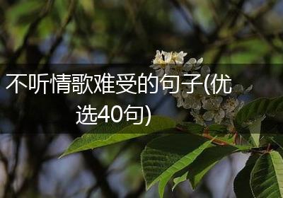 不听情歌难受的句子(优选40句)