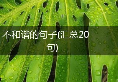 不和谐的句子(汇总20句)