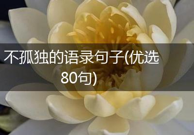 不孤独的语录句子(优选80句)
