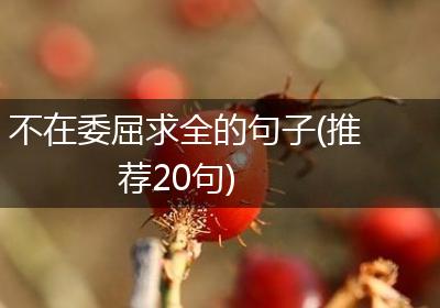 不在委屈求全的句子(推荐20句)
