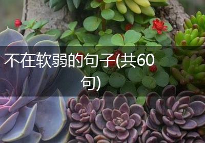 不在软弱的句子(共60句)