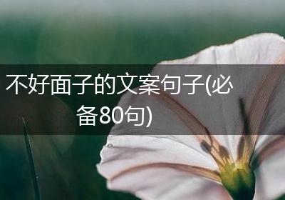 不好面子的文案句子(必备80句)