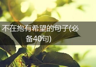 不在抱有希望的句子(必备40句)