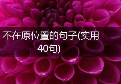 不在原位置的句子(实用40句)
