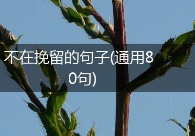 不在挽留的句子(通用80句)
