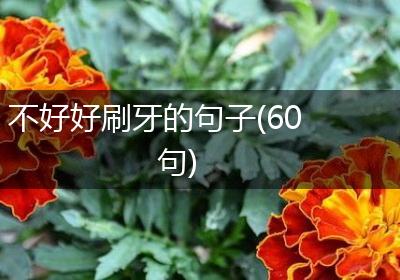 不好好刷牙的句子(60句)