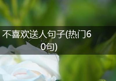 不喜欢送人句子(热门60句)