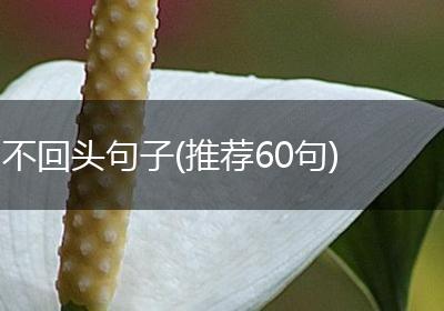 不回头句子(推荐60句)