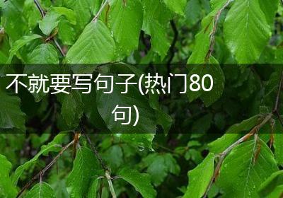 不就要写句子(热门80句)