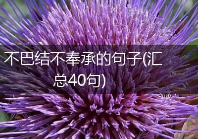不巴结不奉承的句子(汇总40句)