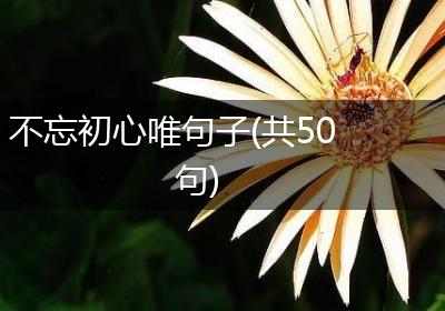 不忘初心唯句子(共50句)